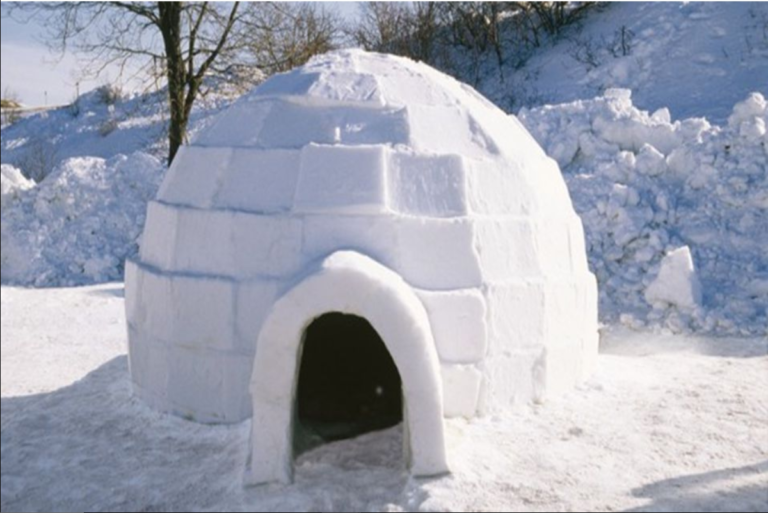 Igloo Craft Zenith Preparatory Learning Centre